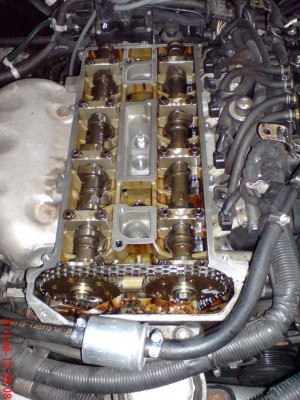 DSC07004.JPG