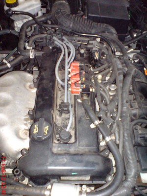 DSC06948.JPG