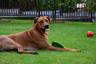 DSC_1109.JPG