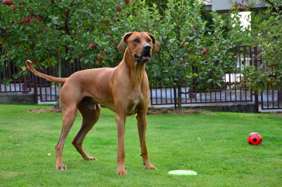 DSC_1112.JPG