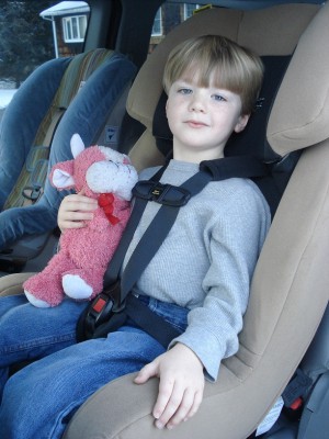 safeguard-child-seat-2.jpg