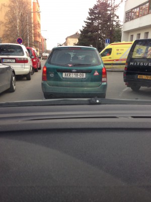 obrázek.JPG