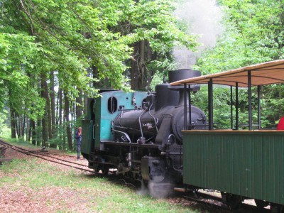 Pojedeme zpátky ...