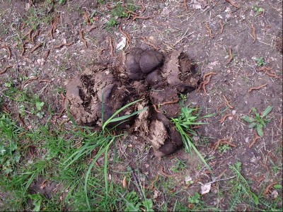 P1070072.JPG (169.52 KiB) Zobrazeno 1167 x lejno