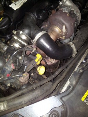 2013-12-12 16.41.37.jpg