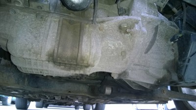 WP_20140510_012.jpg