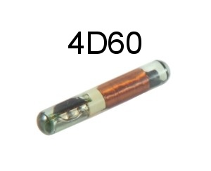 4D60.jpg