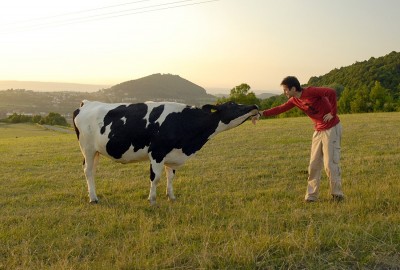 Chmelko si začal s jednou z nich hrát