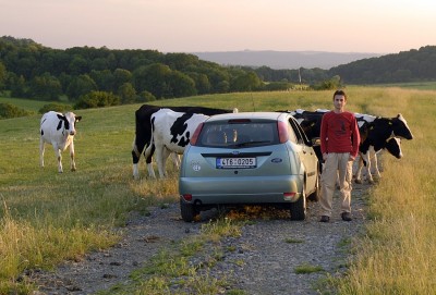 Chmelko zapózoval s kravkami