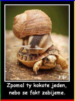 FB_IMG_1455657380565.jpg