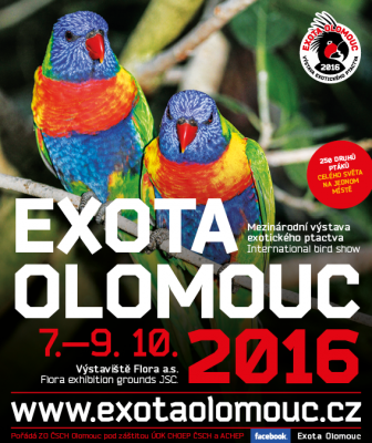 exota_16_plakat.png