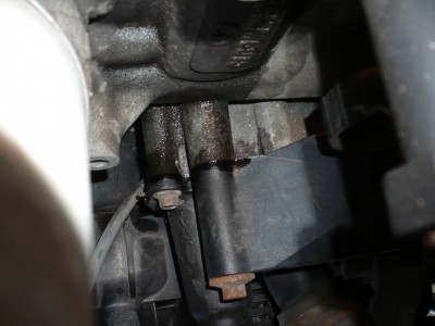 focus unik kapaliny.jpg