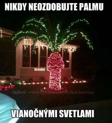 vianocna palma.jpg