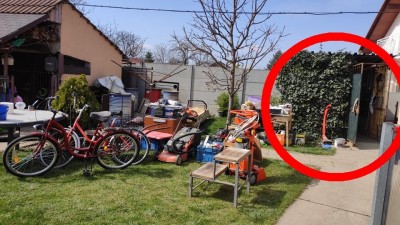 voliera.jpg
