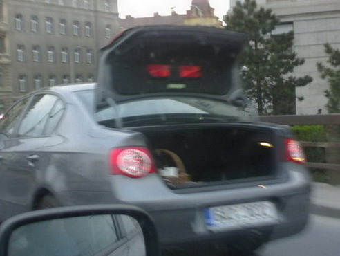 Passat na magistrále 3.jpg