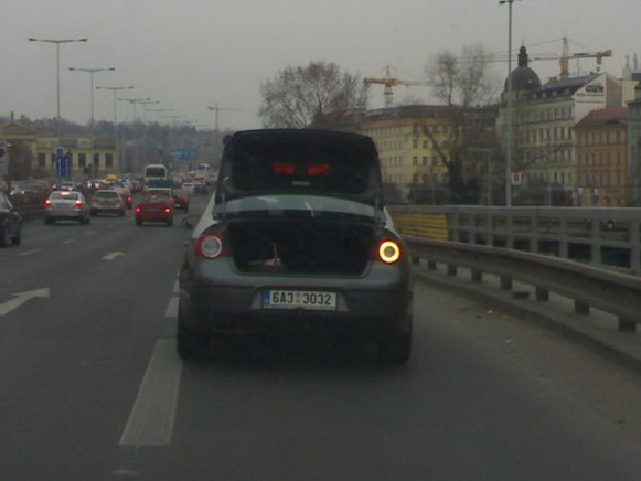 Passat na magistrále.jpg