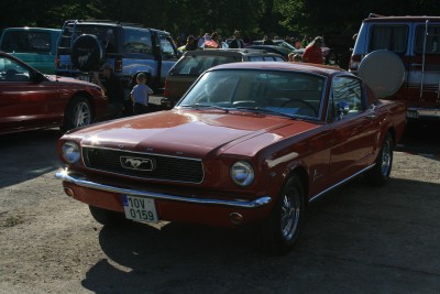 IMG_7263.jpg