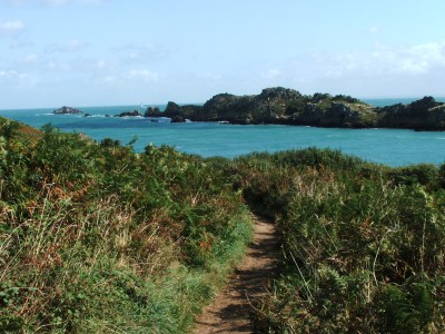 DSCF4600.JPG
