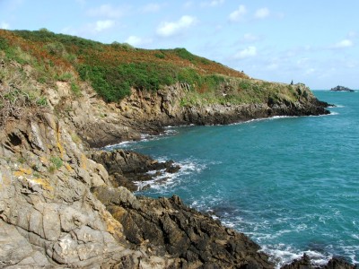 DSCF4603.JPG
