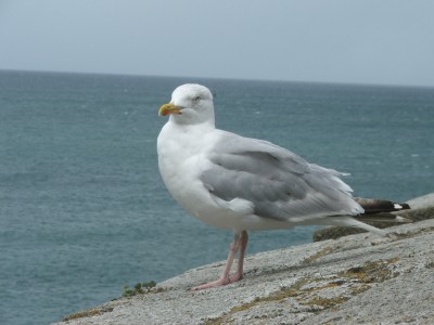 DSCF4664.JPG