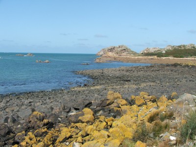 DSCF4966.JPG