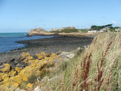 DSCF4974.JPG