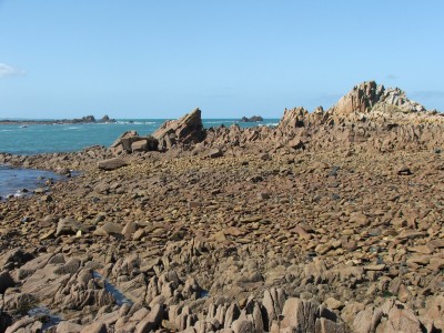 DSCF4981.JPG