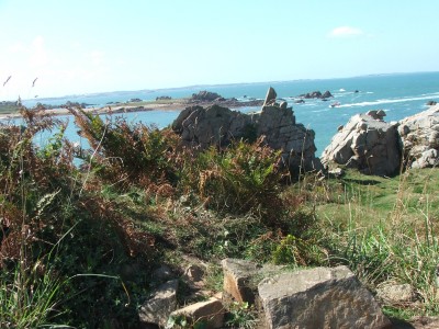 DSCF5004.JPG