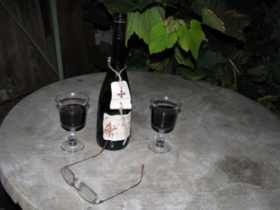 Senov 13.9.2008-focus 028.jpg