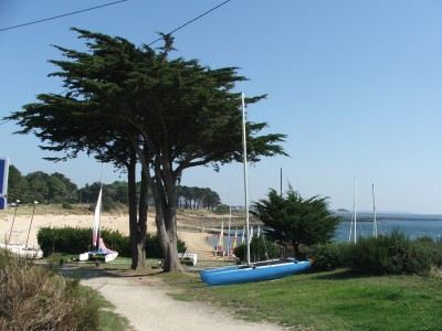 DSCF5090.JPG