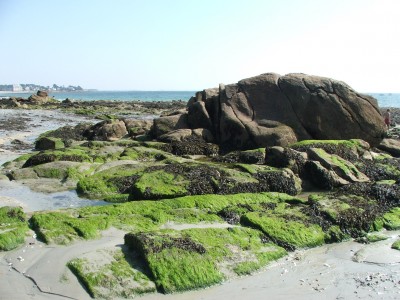 DSCF5084.JPG