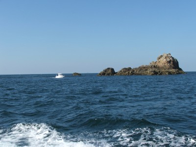 DSCF5156.JPG