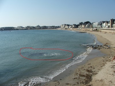 DSCF5253.jpg
