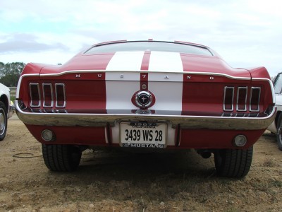 DSCF5355.JPG