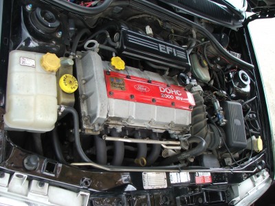 DSCF5383.JPG