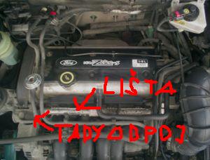 Zetec SE.JPG