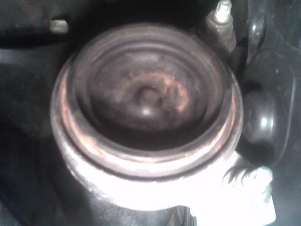 nevyzerá moc zdravo, že jo?