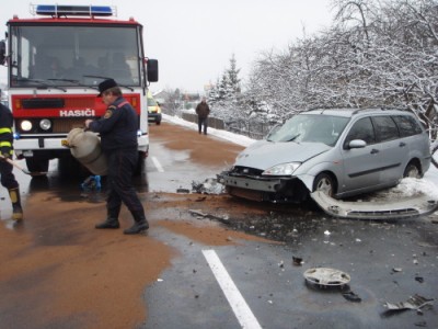 DNzranenisorbentKuncickyuBasky (1).JPG