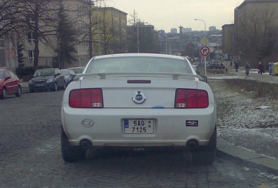 Mustang.jpg