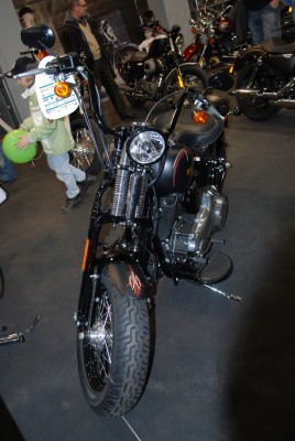 HD1.jpg