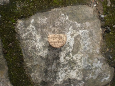 korok.JPG