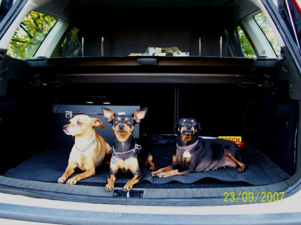 Tahle banda nás zlobí dosud