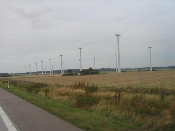 ves003.jpg