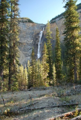 Takakkaw Falls z dalky.jpg