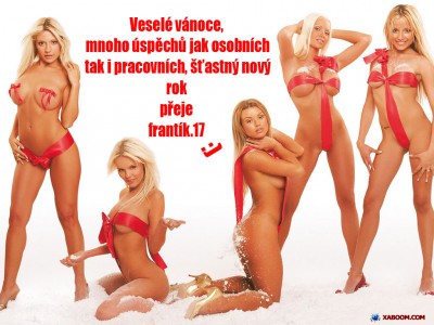 sexy-santa-girl-4-wallpaper kopie.jpg (51.26 KiB) Zobrazeno 5857 x ..to máme v obejváku, místo stromečku....