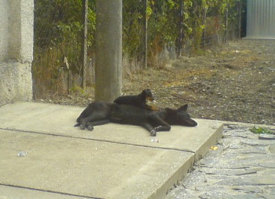 poobedny relax a oddych