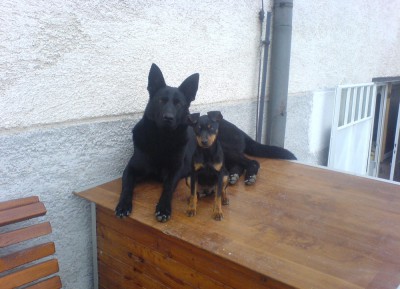 Dasty-na &amp; Sleepy