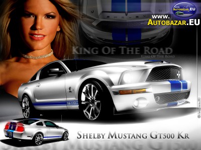 wp_autobazar_eu_058.jpg