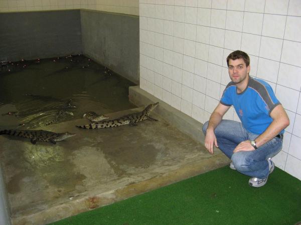 Světýlka v pozadí jsou samozřejmě další šelmičky :-)