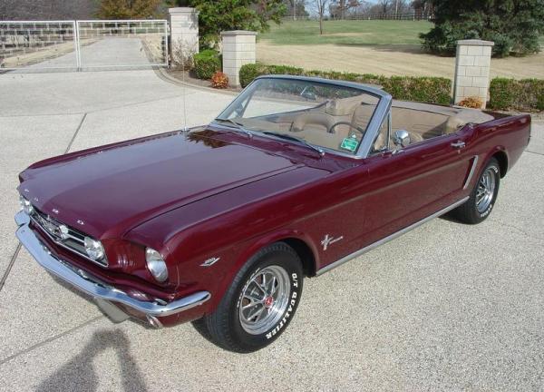 mustang4.JPG